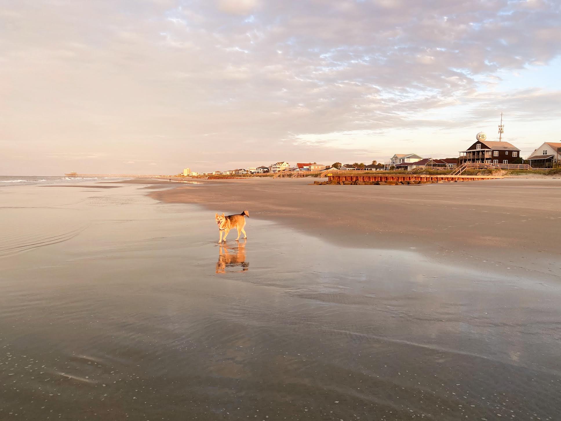 Tori Carle member spotlight photograph 5