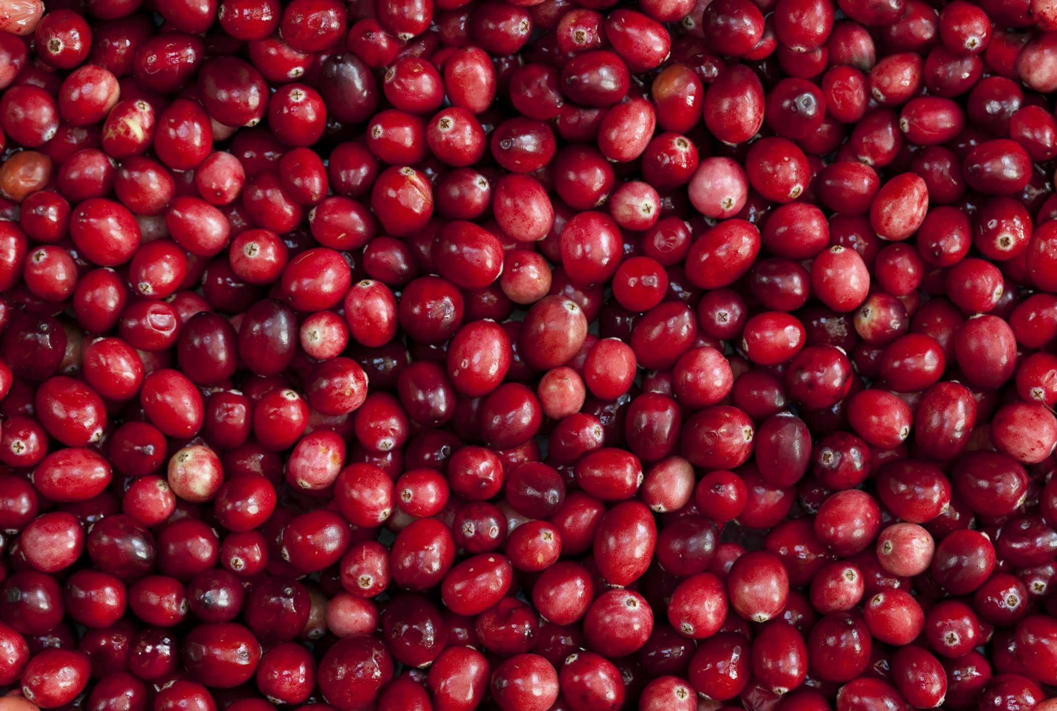Cranberries