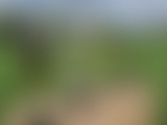 Wat een Paaskamp ... 