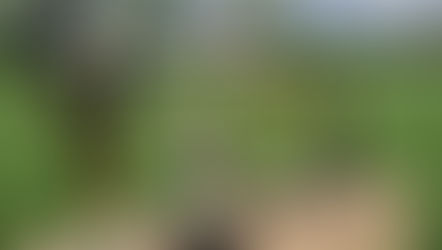 Wat een Paaskamp ... 