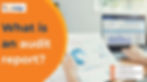 Types of Audit Opinions and Reports , iProledge