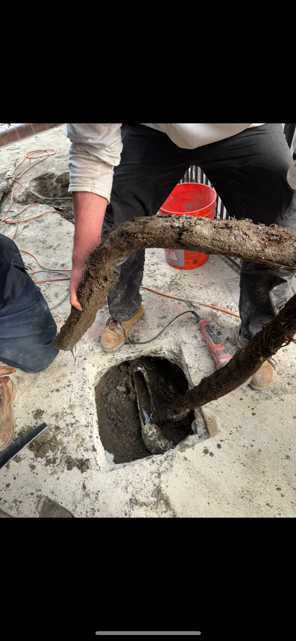 Professional sewer line repair in progress