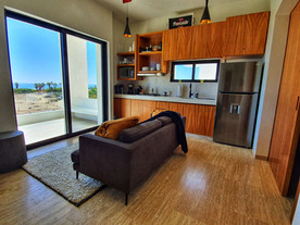 playitas-penthouse-3-north-rental-9.jpeg