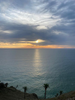 PHOTO-2024-03-04-13-55-23 13