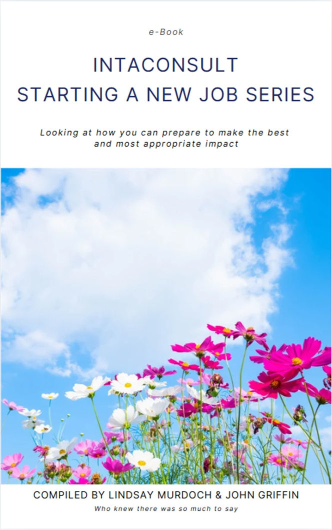 Intaconsult Inflight Reviews e-Book