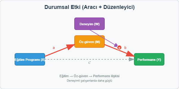 Aracı ve Düzenleyici Etki