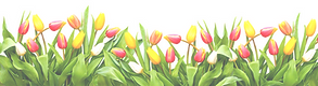 April 2026 Banner_edited_edited_edited.png