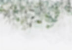 tappisserie cabinet_edited_edited_edited.jpg