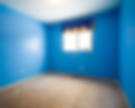 Mold and mildew killer