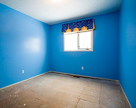 Mold and mildew killer