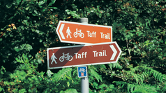 Discover Cardiff's green spaces this summer with Outdoor Cardiff 