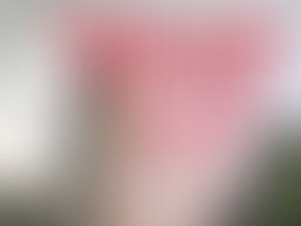 Margot Robbie goes sheer at Wuthering Heights premiere in London