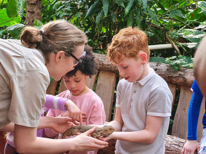 Win tickets for a Plantasia VIP Animal Encounter this summer