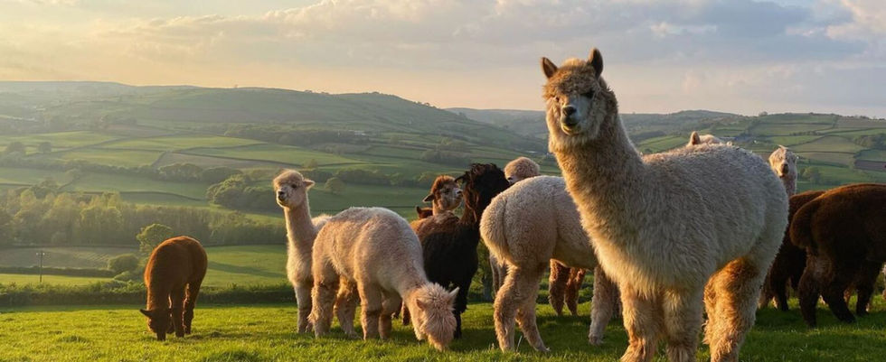 23 Unmissable Family Days Out in South & West Wales