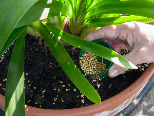 Plastic Free July: The hidden plastics in your garden and how to ditch them