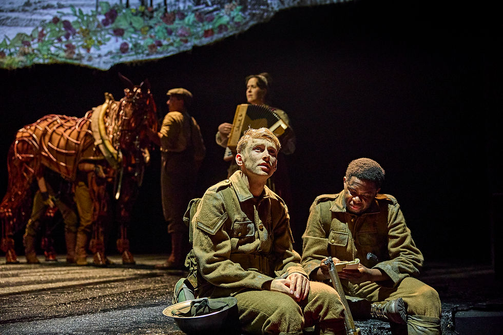 War Horse at Wales Millennium Centre