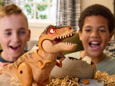Dinos, diggers and fast cars – the toys tipped to be best sellers this Christmas