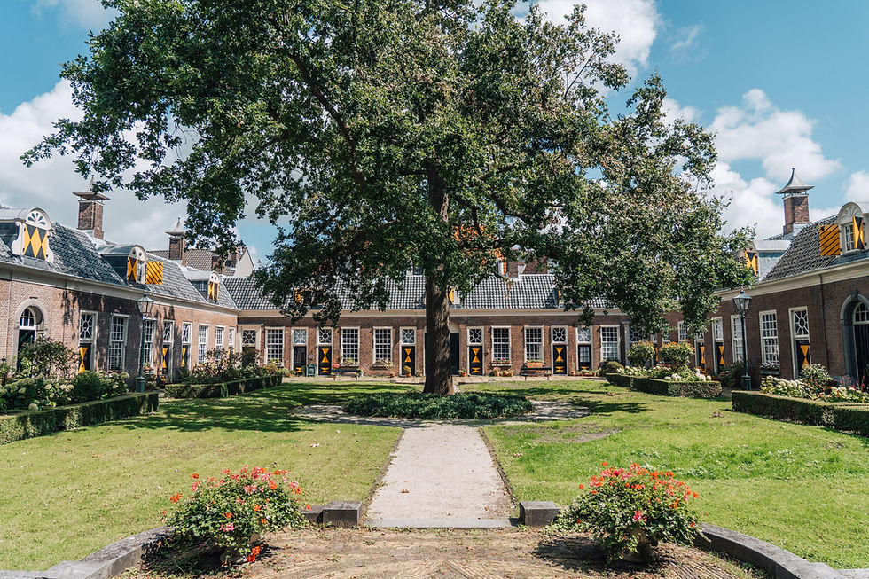 An inner courtyard with a large tree in the centre