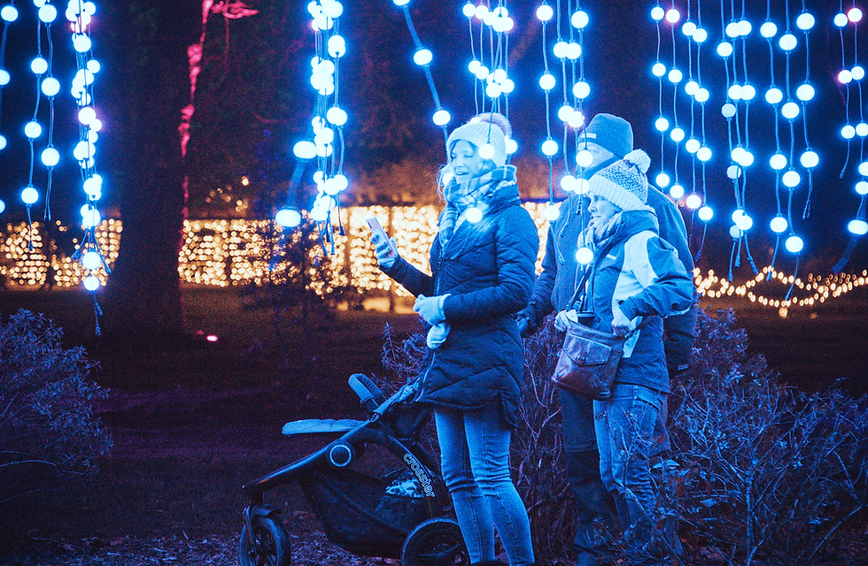 Luminate returns to Margam Country Park