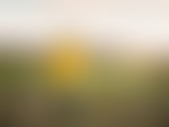 Even 4,000 steps a day could ‘reduce risk of death’ – study