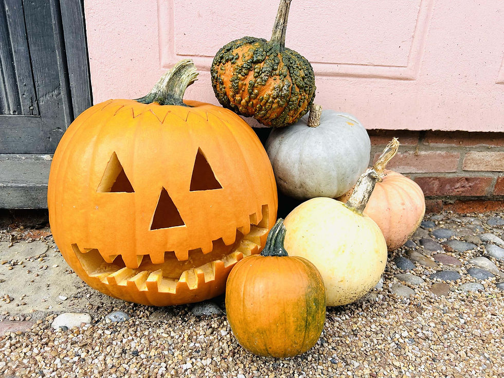 Halloween pumpkin and gourds (Alamy/PA)