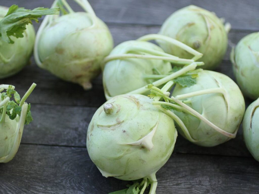 Kohlrabi