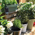 Watering aids to help you through the drier months