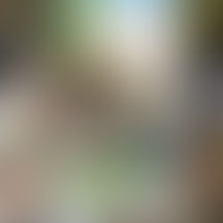 7 of the best autumn books for the keen gardener