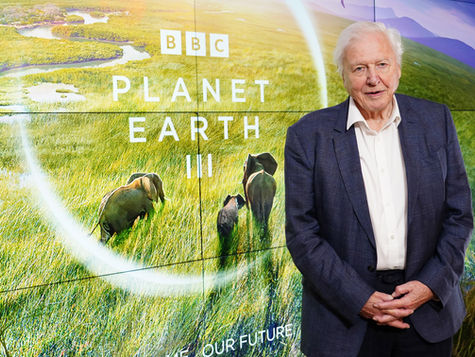 How to boost your chances of living to 100 – as Sir David Attenborough approaches milestone