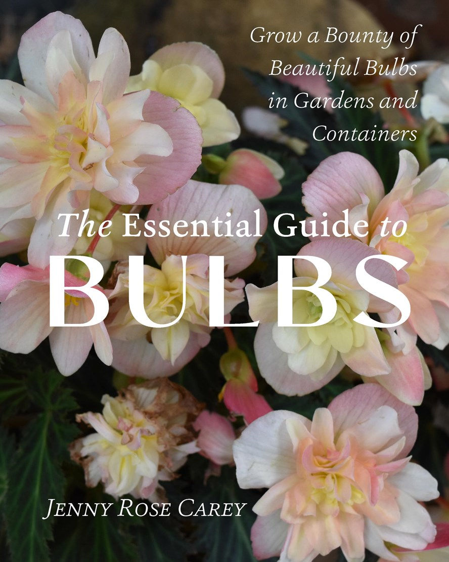 Book jacket of The Essential Guide To Bulbs by Jenny Rose Carey (Timber Press/PA)