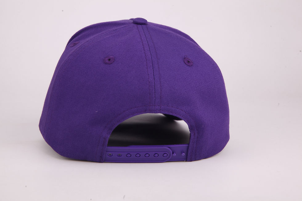 Thumbnail: Purple World Series Panel K Frame  Snapback Hat