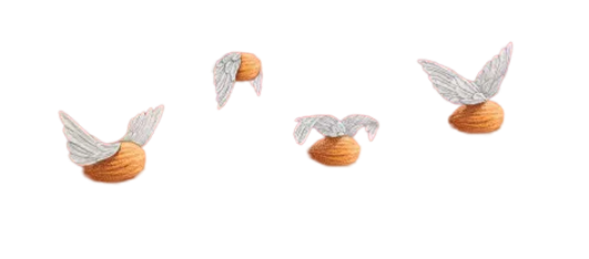 Light - Big Horizontal image 3.png