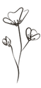Bloom flower_edited.png