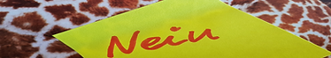Nein sagen Bild.png