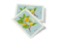 Cartolina Limone