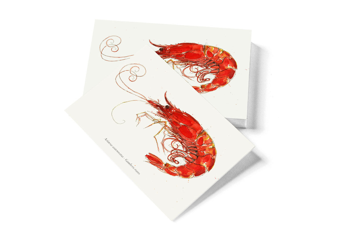 Spedisci Cartolina Gambero