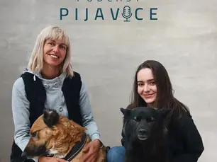 Kde všude o nás napsali