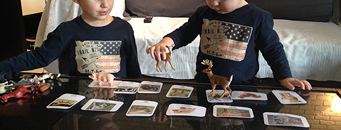 Cartes de nomenclature animaux