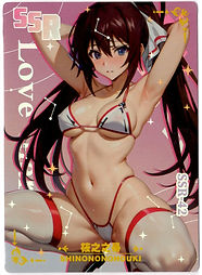 Houki Shinonono