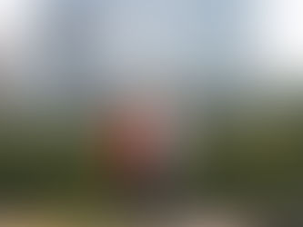 ¿Cómo es trabajar en una empresa global?