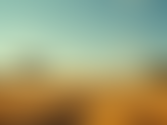 Join Marlena's Campaign for Economic Development in Texas