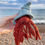Thumbnail: Knitted Toy Hermit Crab Pattern