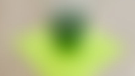 Smoothie vert