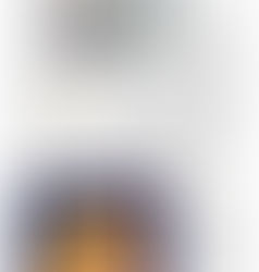 SAIU NA IMPRENSA – Jornal do Commercio