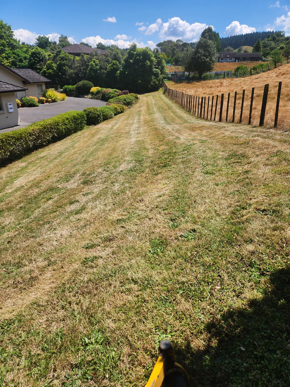 Residential mowing