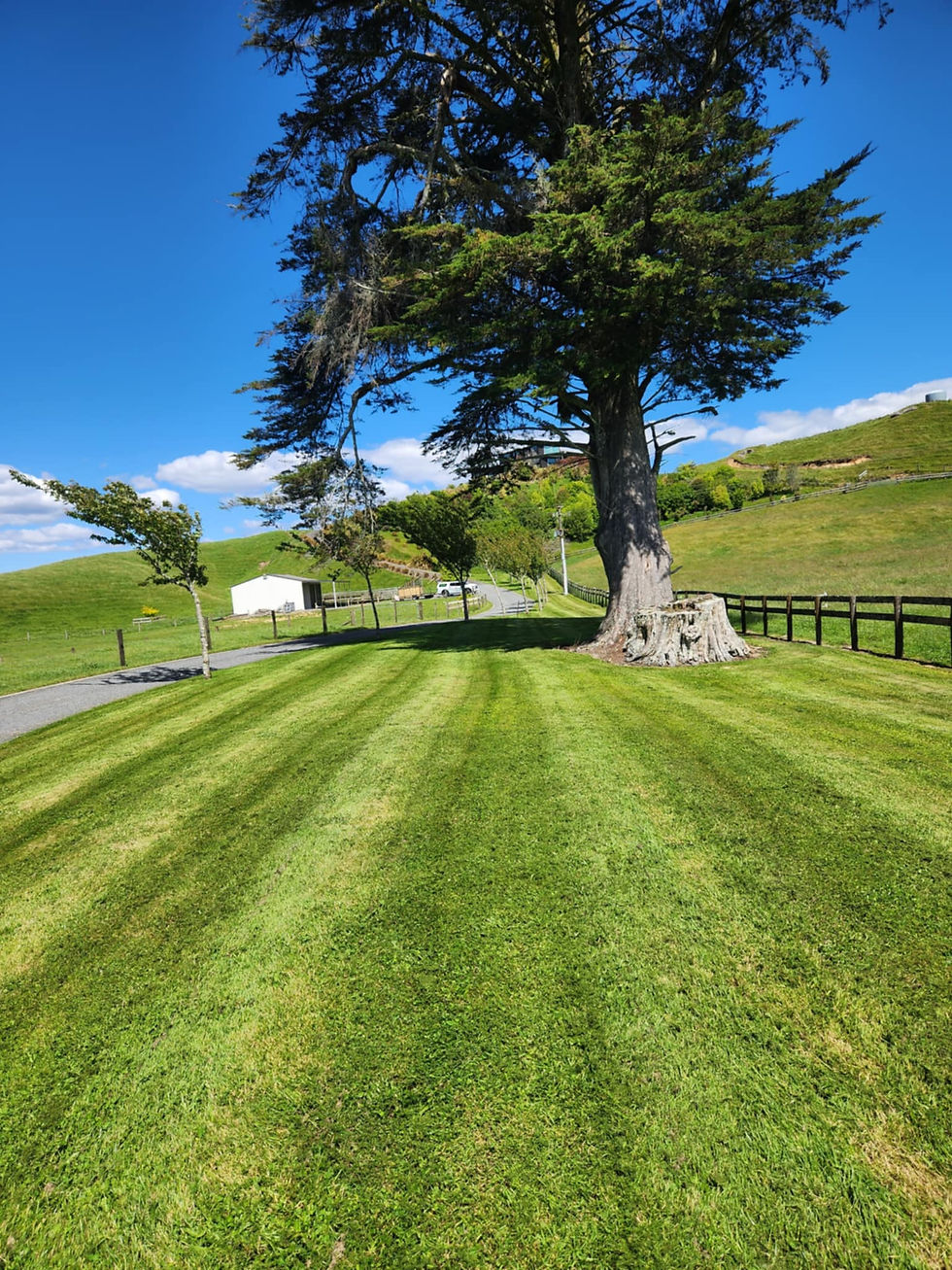 Residential mowing