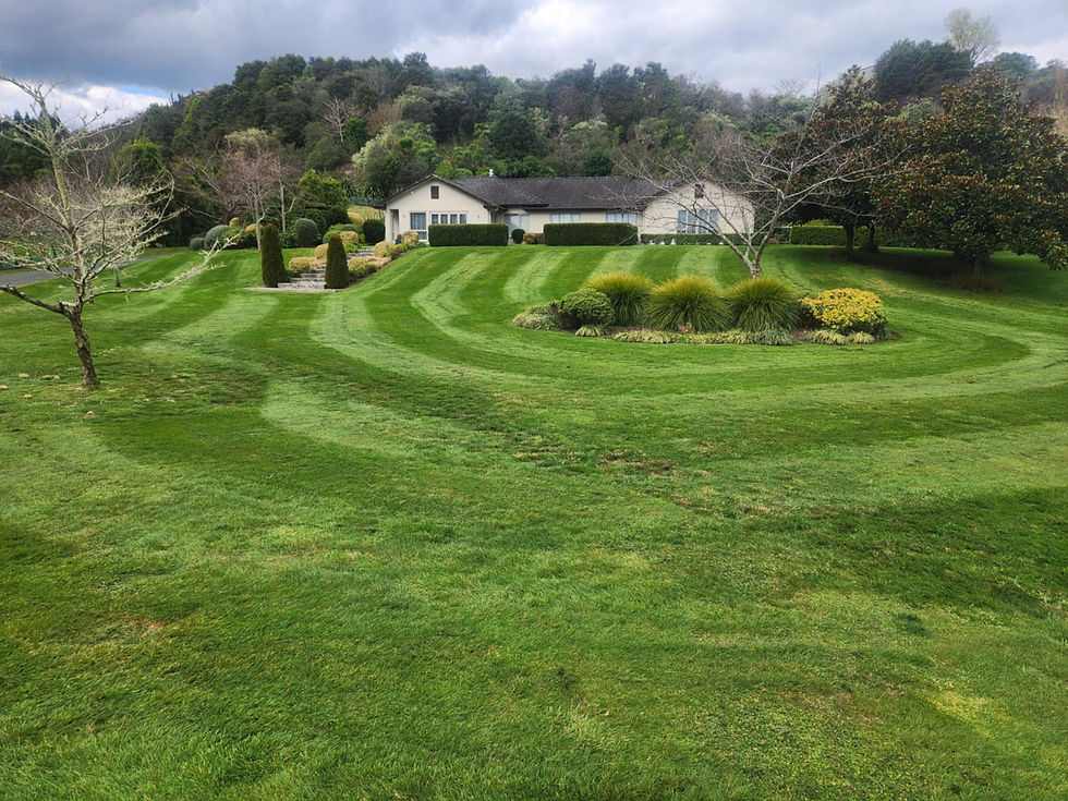 Residential mowing