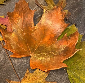 Screenshot 2025-11-21 at 17.49.14.png