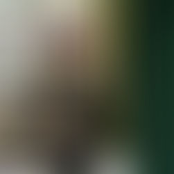 הרבנית ימימה מזרחי לפרשת חיי שרה