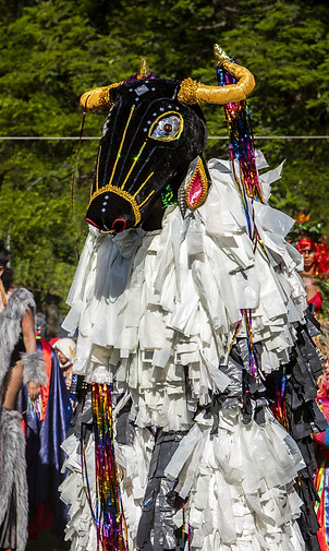 2026-02-14_Carnaval 2026 Bloco da Terreirada__eppinghaus_foto-259.jpg